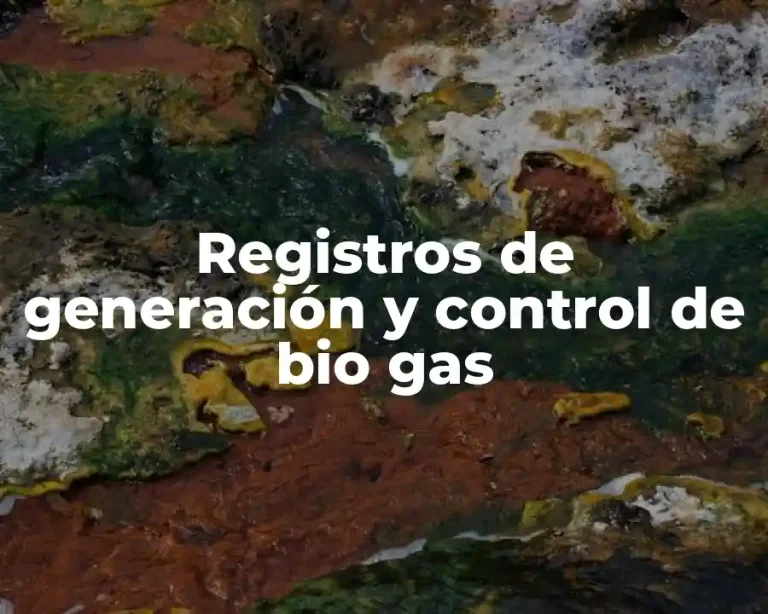 Registros de generación y control de bio gas