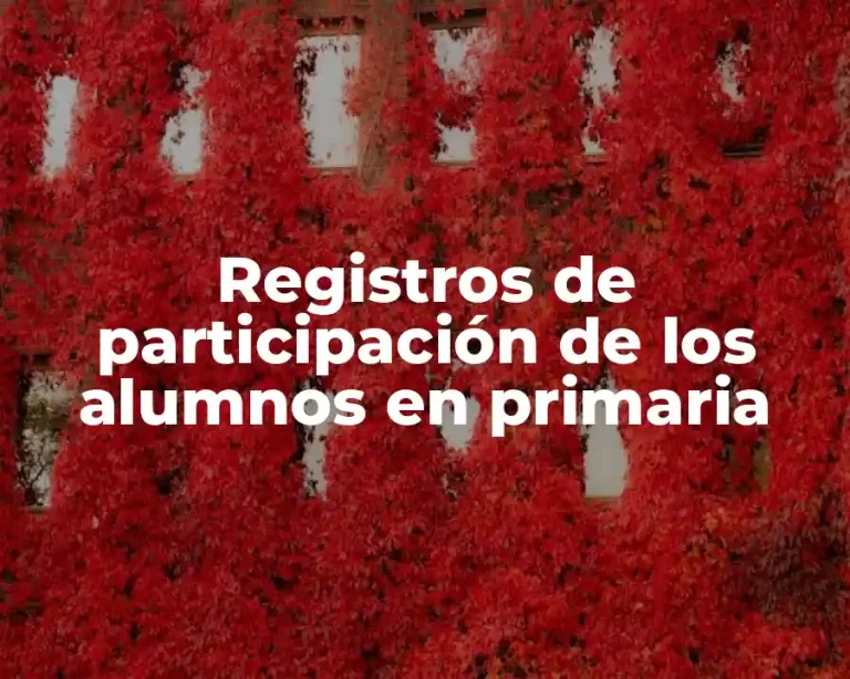 Registros de participación de los alumnos en primaria