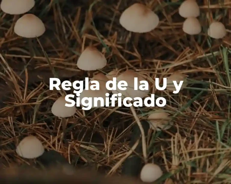 Regla de la U y Significado