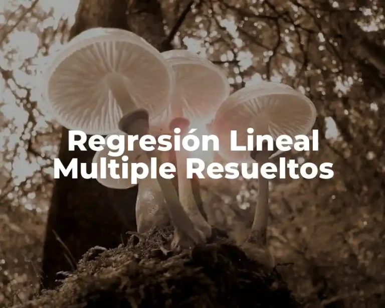 Regresión Lineal Multiple Resueltos