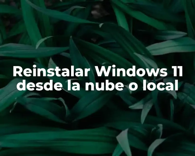 Reinstalar Windows 11 desde la nube o local