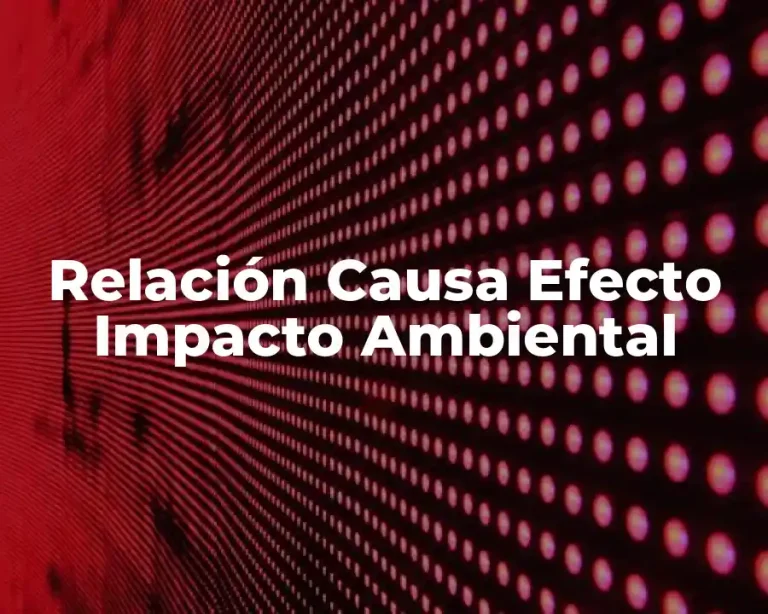 Relación Causa Efecto Impacto Ambiental