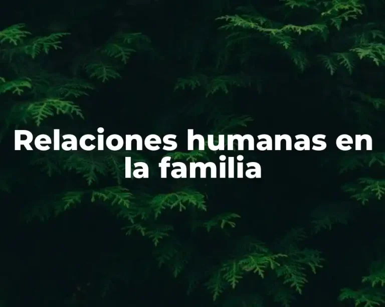 Relaciones humanas en la familia