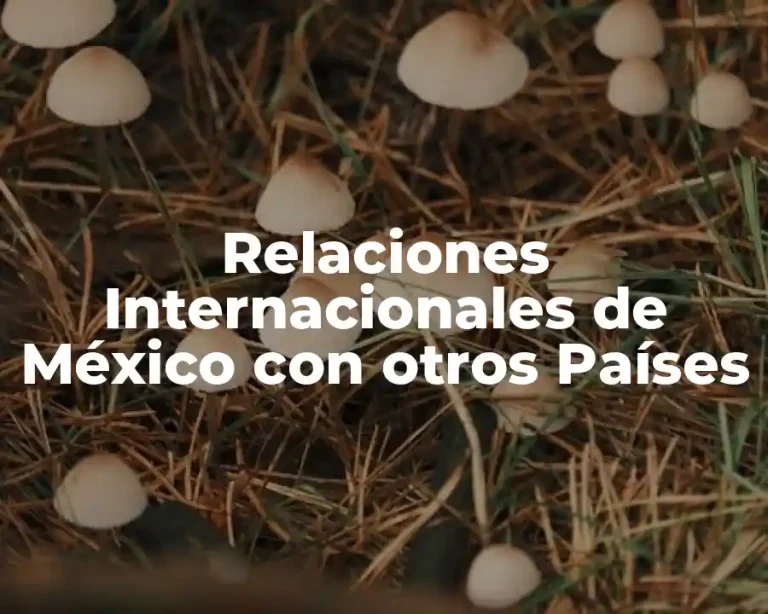 Relaciones Internacionales de México con otros Países