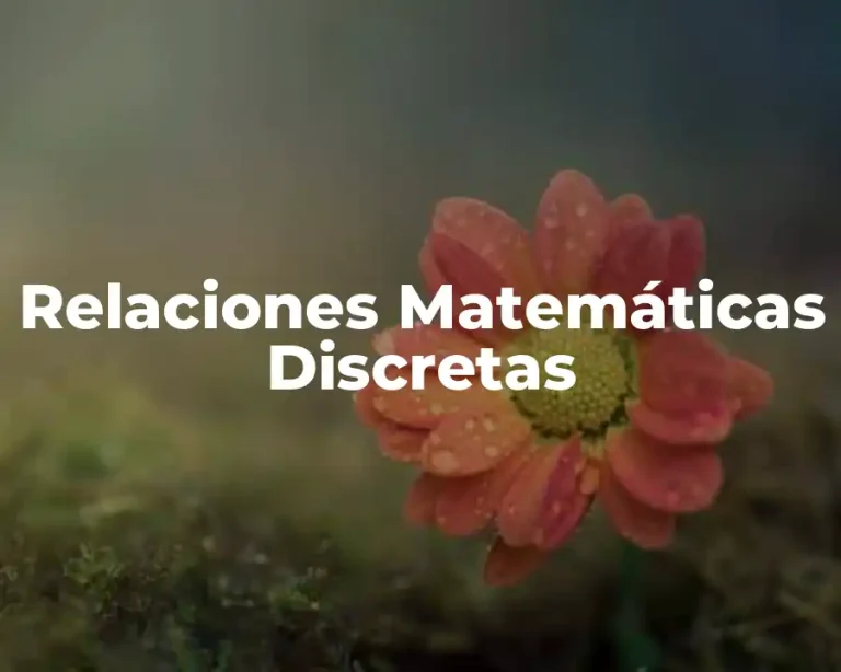 Relaciones Matemáticas Discretas