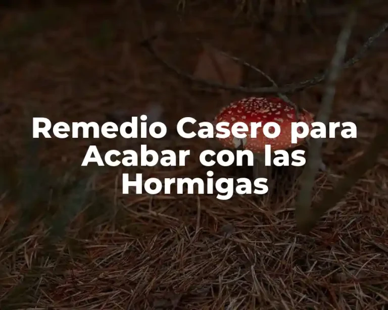 Remedio Casero para Acabar con las Hormigas