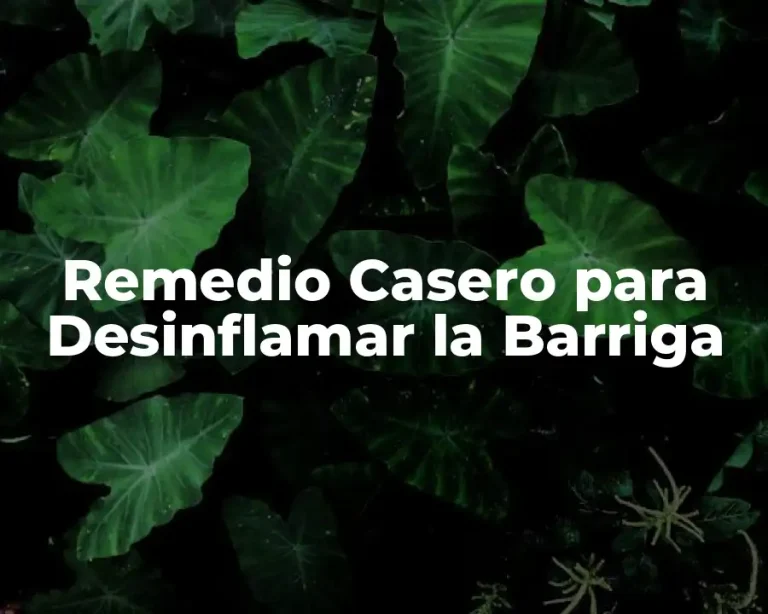 Remedio Casero para Desinflamar la Barriga