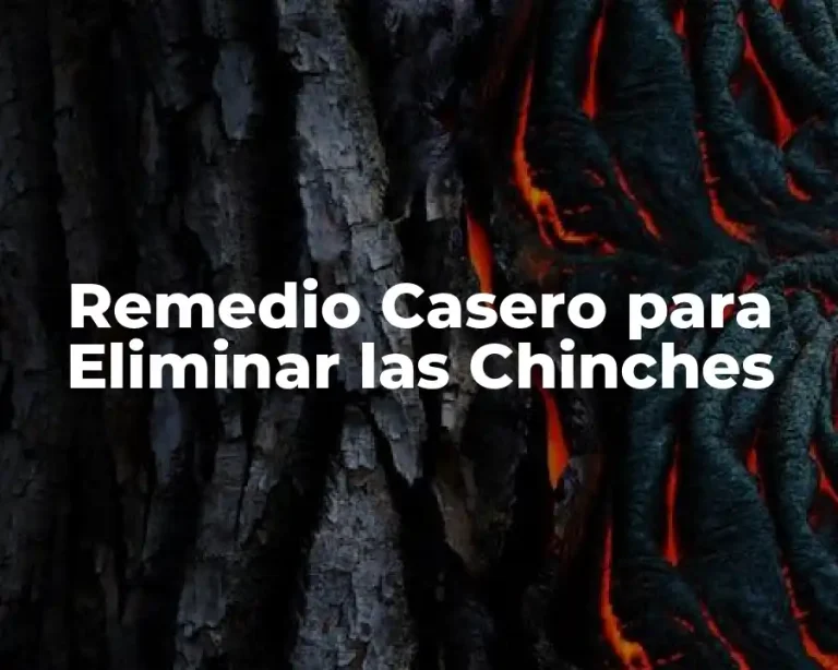 Remedio Casero para Eliminar las Chinches