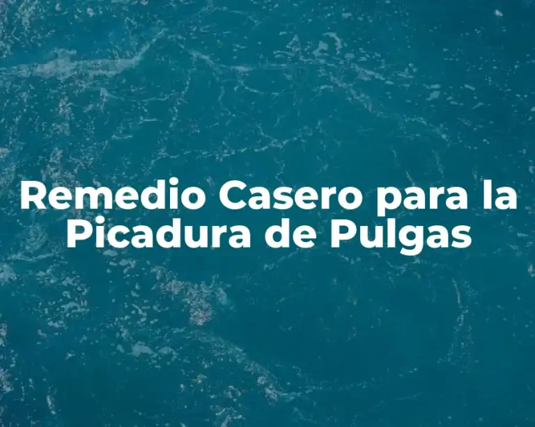 Remedio Casero para la Picadura de Pulgas