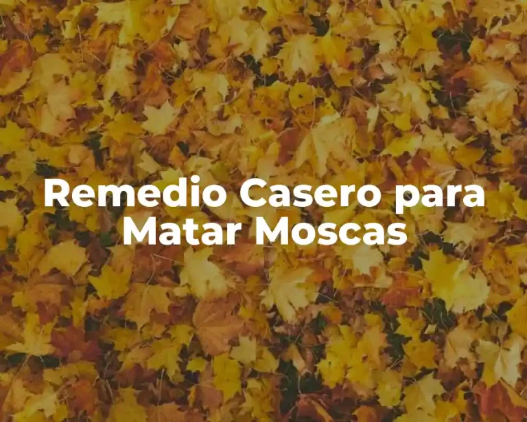 Remedio Casero para Matar Moscas