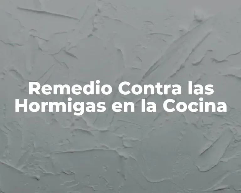 Remedio Contra las Hormigas en la Cocina