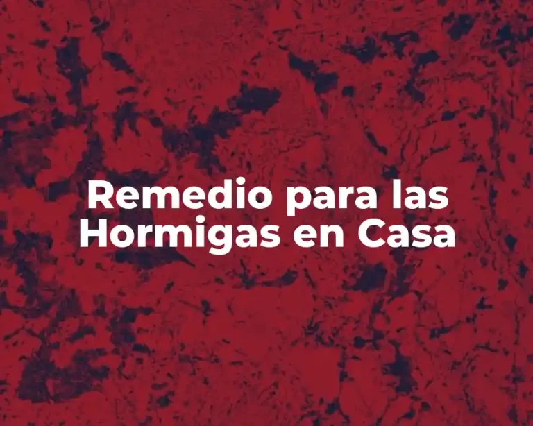 Remedio para las Hormigas en Casa