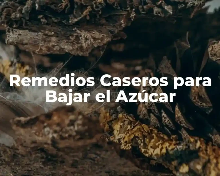 Remedios Caseros para Bajar el Azúcar