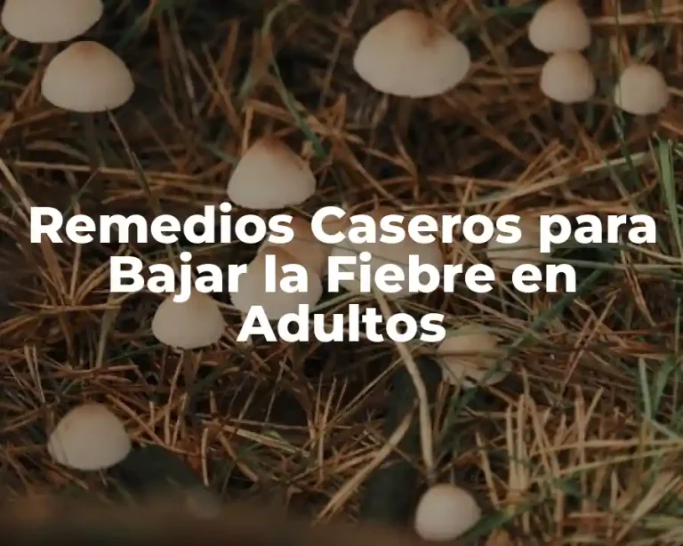 Remedios Caseros para Bajar la Fiebre en Adultos