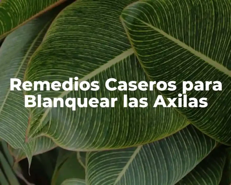 Remedios Caseros para Blanquear las Axilas