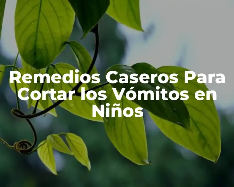 Remedios Caseros Para Cortar los Vómitos en Niños