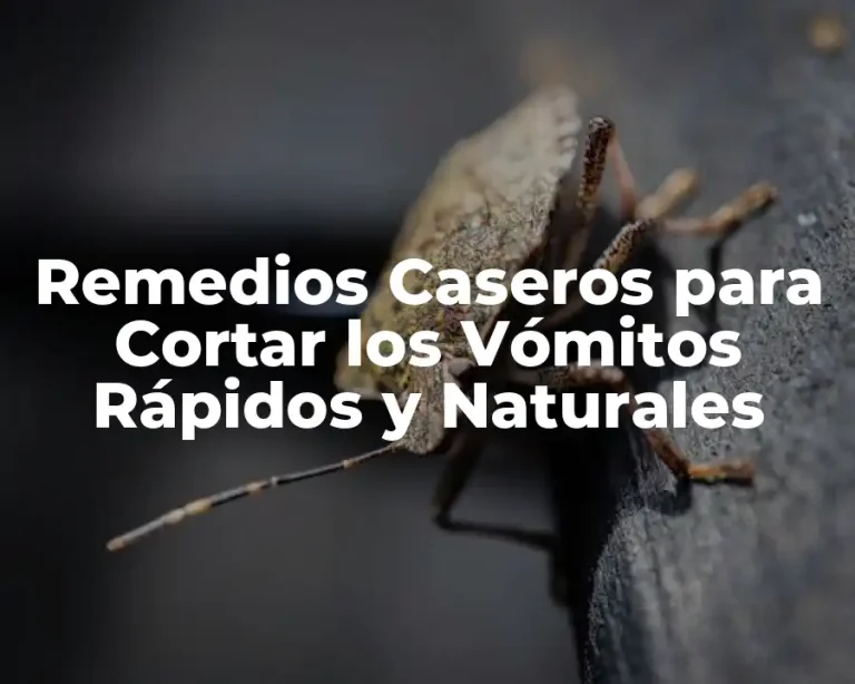 Remedios Caseros para Cortar los Vómitos Rápidos y Naturales