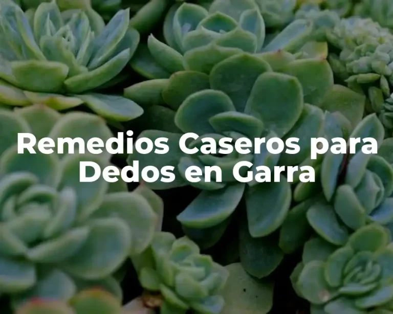 Remedios Caseros para Dedos en Garra