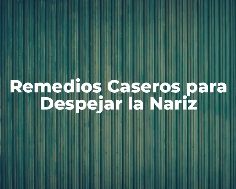 Remedios Caseros para Despejar la Nariz