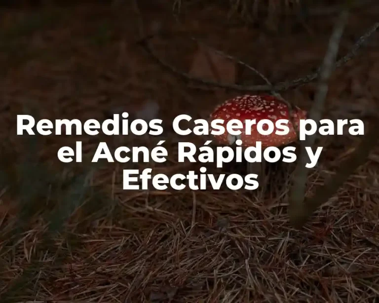 Remedios Caseros para el Acné Rápidos y Efectivos