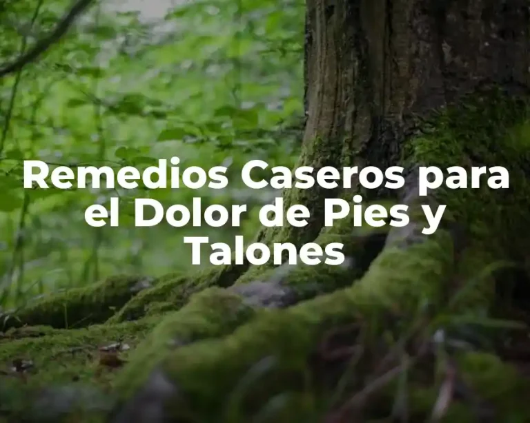 Remedios Caseros para el Dolor de Pies y Talones