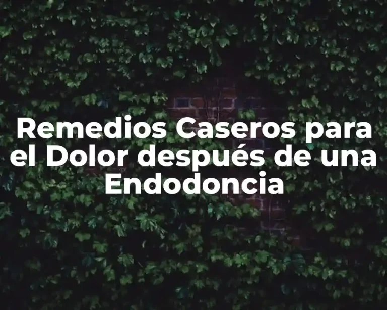 Remedios Caseros para el Dolor después de una Endodoncia