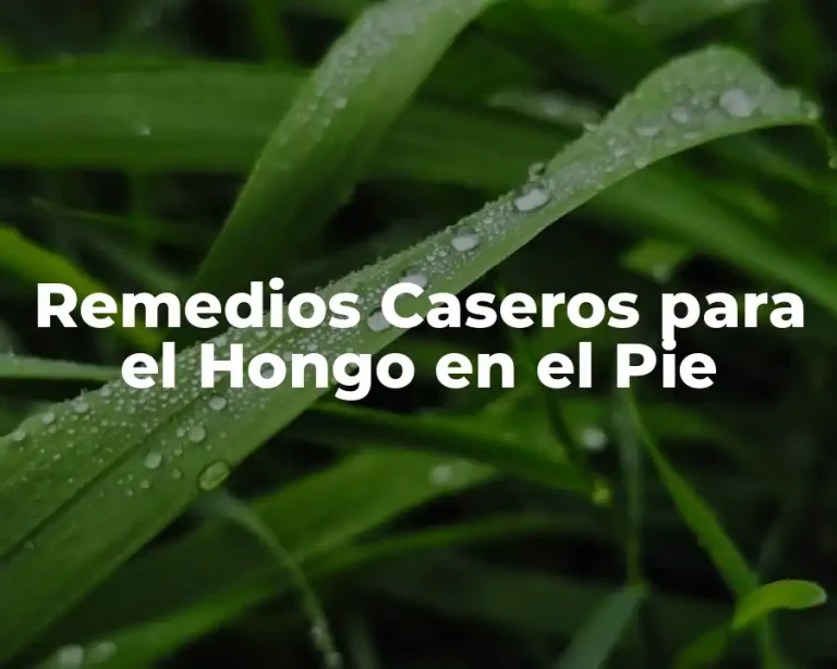 Remedios Caseros para el Hongo en el Pie
