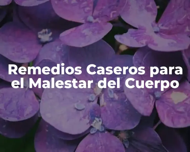 Remedios Caseros para el Malestar del Cuerpo