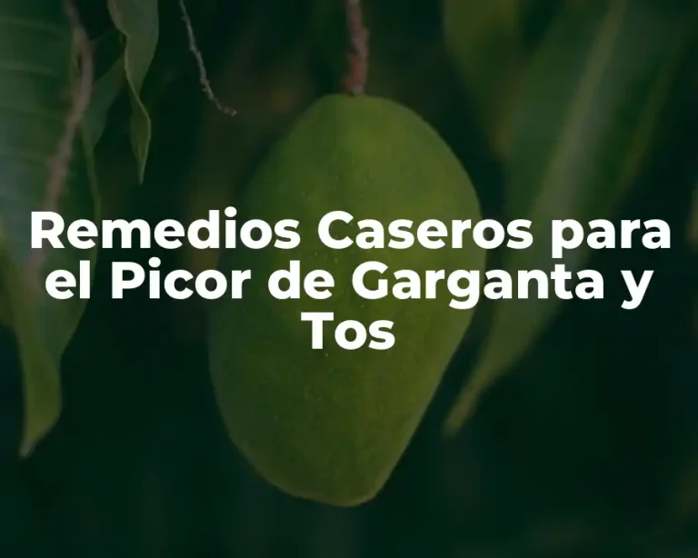 Remedios Caseros para el Picor de Garganta y Tos