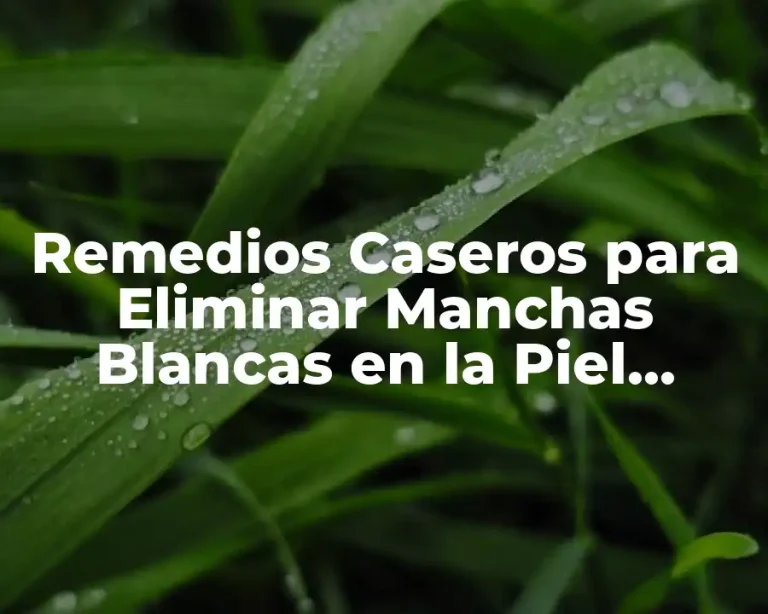 Remedios Caseros para Eliminar Manchas Blancas en la Piel Causadas por el Sol