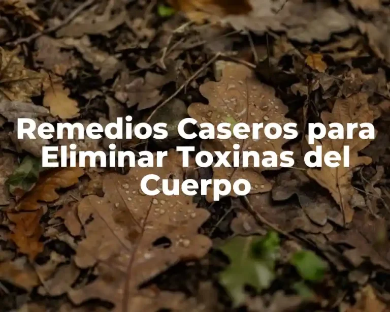 Remedios Caseros para Eliminar Toxinas del Cuerpo