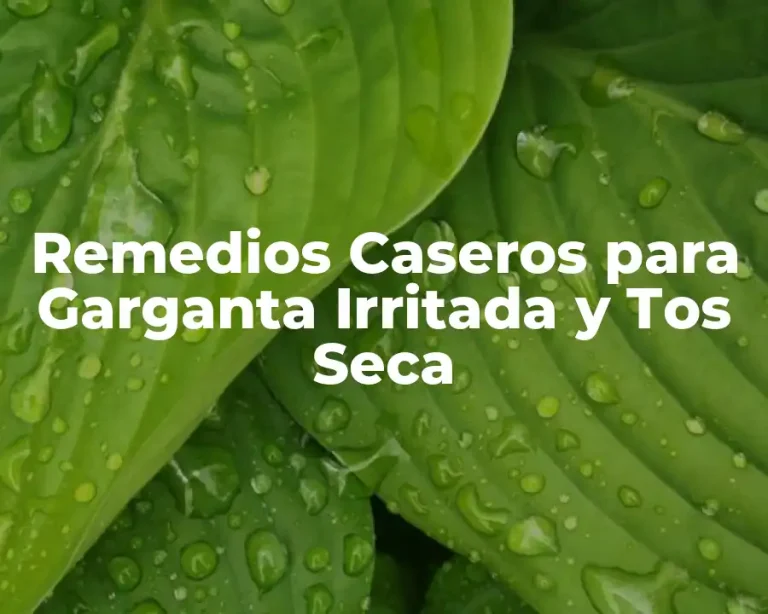 Remedios Caseros para Garganta Irritada y Tos Seca