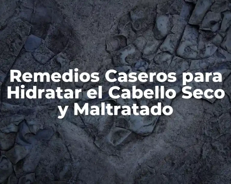 Remedios Caseros para Hidratar el Cabello Seco y Maltratado