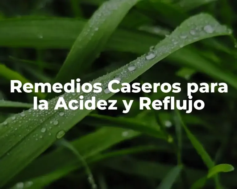 Remedios Caseros para la Acidez y Reflujo