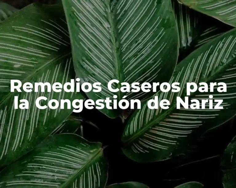 Remedios Caseros para la Congestión de Nariz