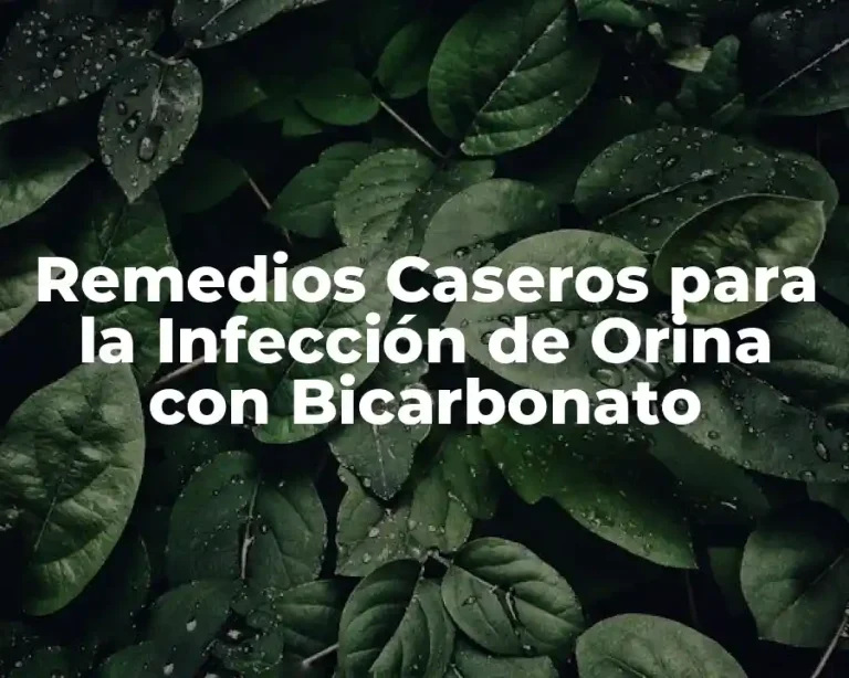 Remedios Caseros para la Infección de Orina con Bicarbonato