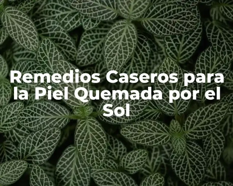 Remedios Caseros para la Piel Quemada por el Sol