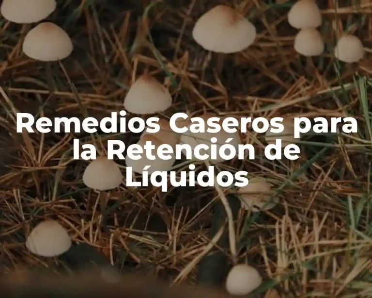 Remedios Caseros para la Retención de Líquidos