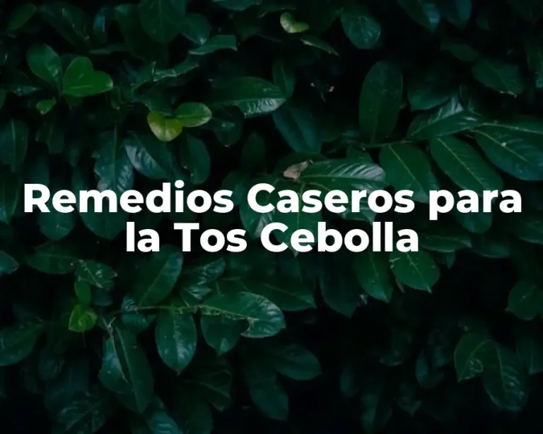 Remedios Caseros para la Tos Cebolla