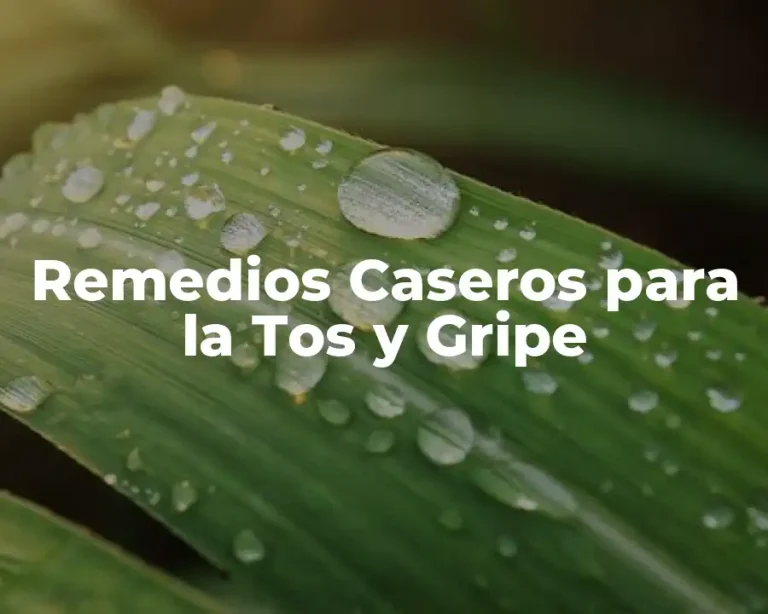 Remedios Caseros para la Tos y Gripe