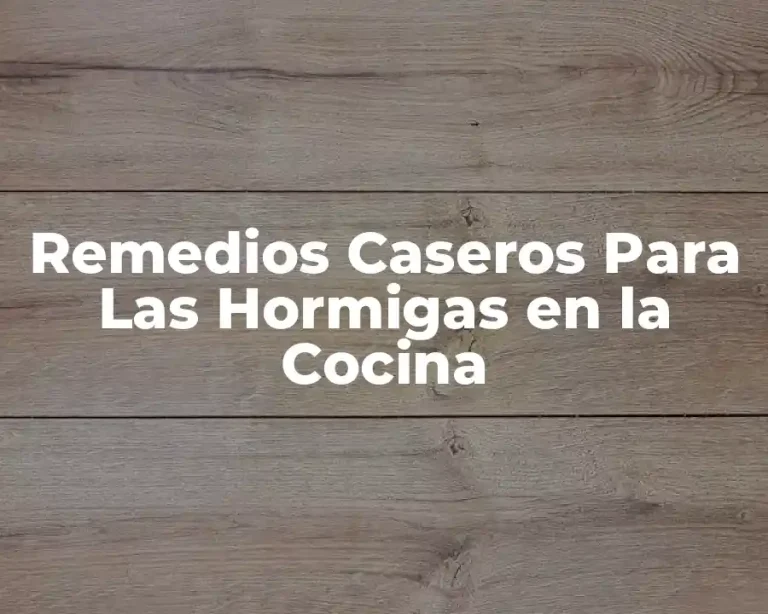 Remedios Caseros Para Las Hormigas en la Cocina