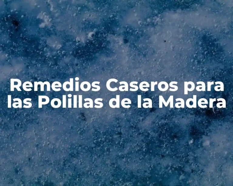 Remedios Caseros para las Polillas de la Madera