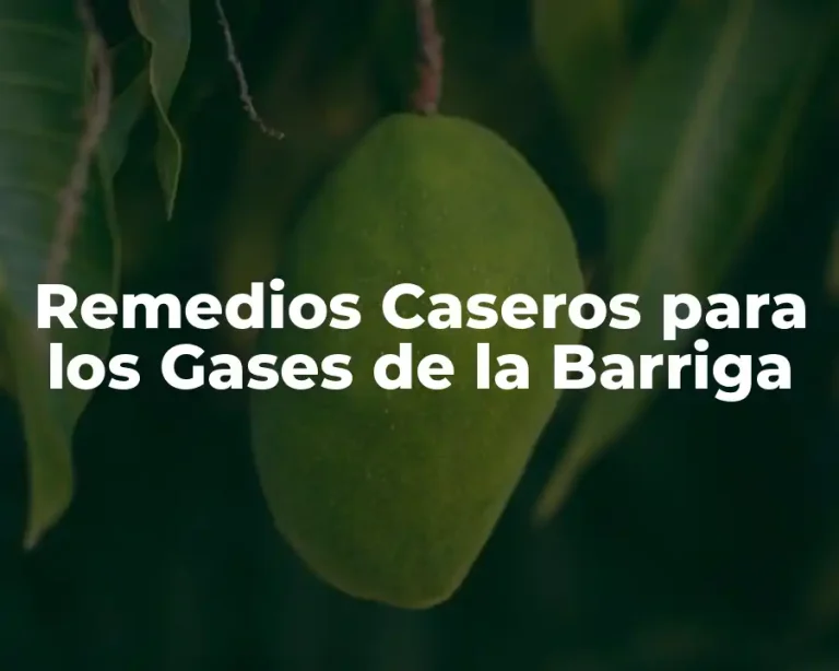 Remedios Caseros para los Gases de la Barriga