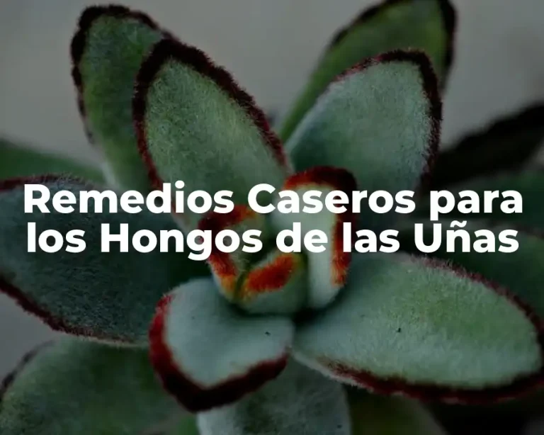 Remedios Caseros para los Hongos de las Uñas