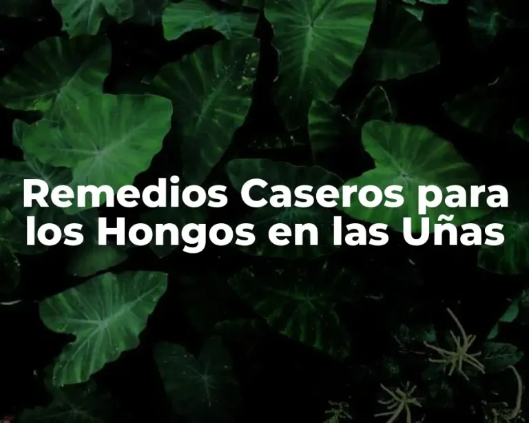 Remedios Caseros para los Hongos en las Uñas