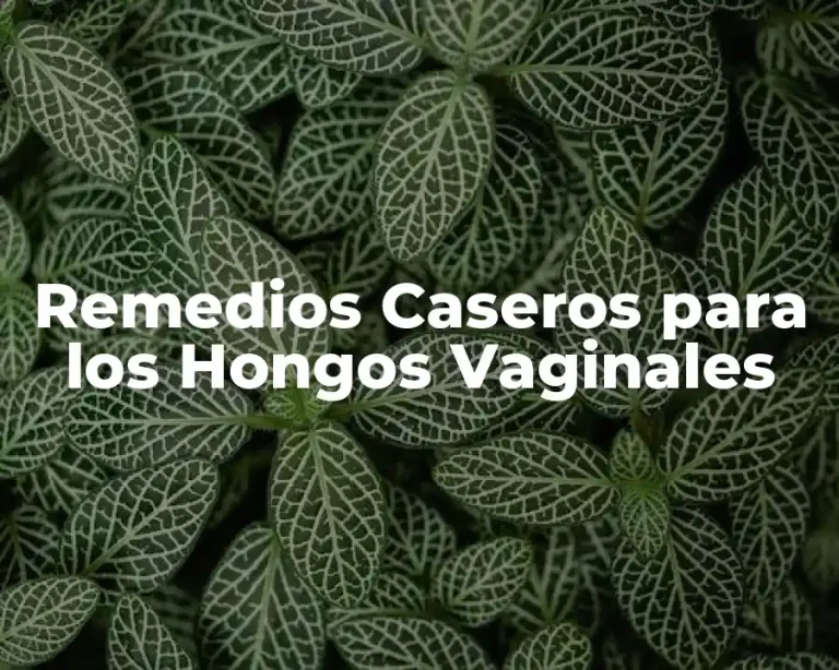 Remedios Caseros para los Hongos Vaginales