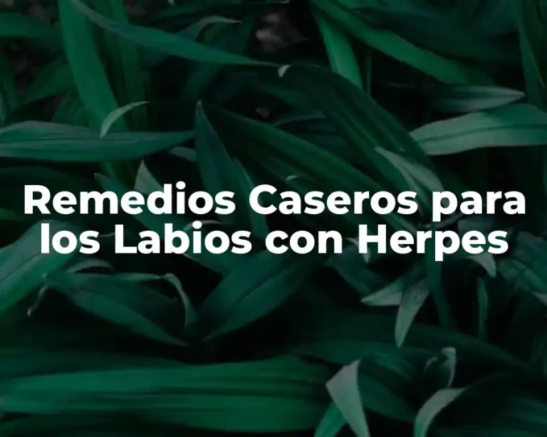Remedios Caseros para los Labios con Herpes