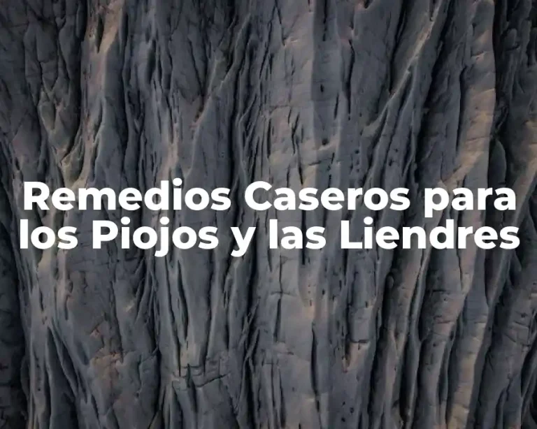 Remedios Caseros para los Piojos y las Liendres