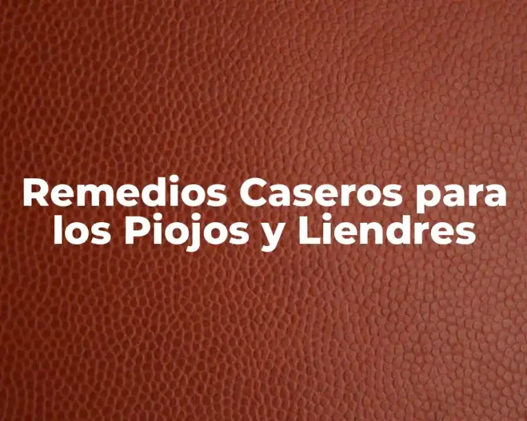 Remedios Caseros para los Piojos y Liendres