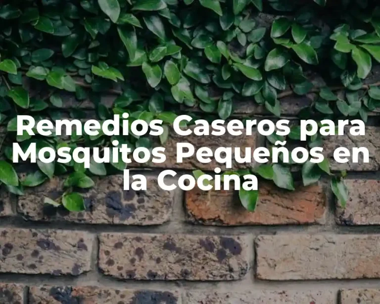 Remedios Caseros para Mosquitos Pequeños en la Cocina